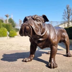 Custom Lifelike Bronze Bulldog Statues