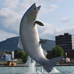 Restigouche Sam Giant Leaping Salmon Sculpture