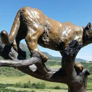 Wildlife Sculpture Bronze Statue A Climbing Lioness