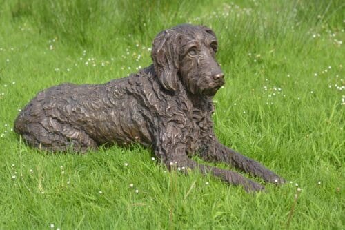 Life Size Bronze Statue Lying Labradoodle Sculpture