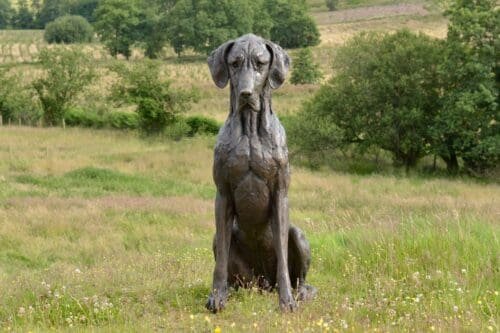 Life-Size Bronze Statue Sitting Great Dane Sculpture