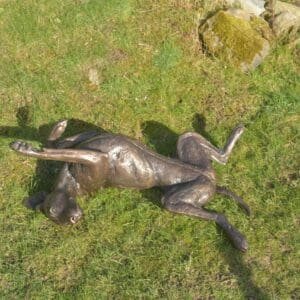 Bronze Vizsla Lying On Its Back Sculpture