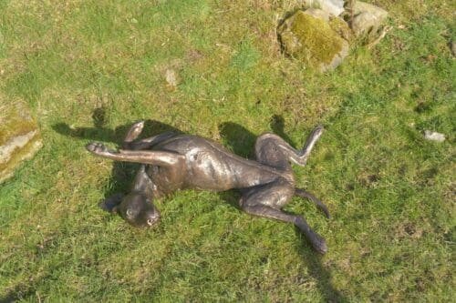 Bronze Vizsla Lying On Its Back Sculpture