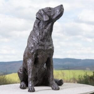 Life Size Bronze Labrador Looking Up To The Sky Sculpture