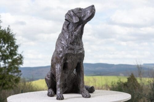 Life Size Bronze Labrador Looking Up To The Sky Sculpture