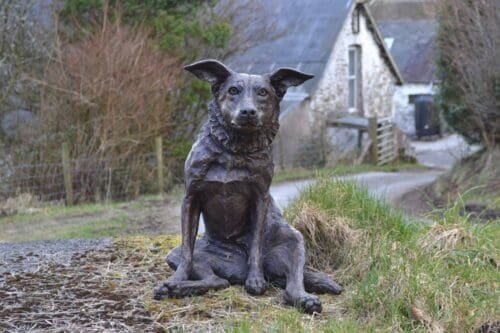 Bronze Statue Sitting Border Collie Sculpture