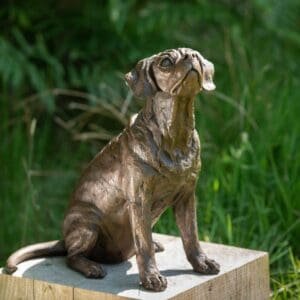 Animal Statue Bronze Sitting Puggle Looking Up To Sky Sculpture